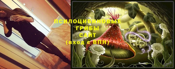 шишки Красноперекопск