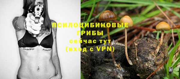 шишки Красноперекопск